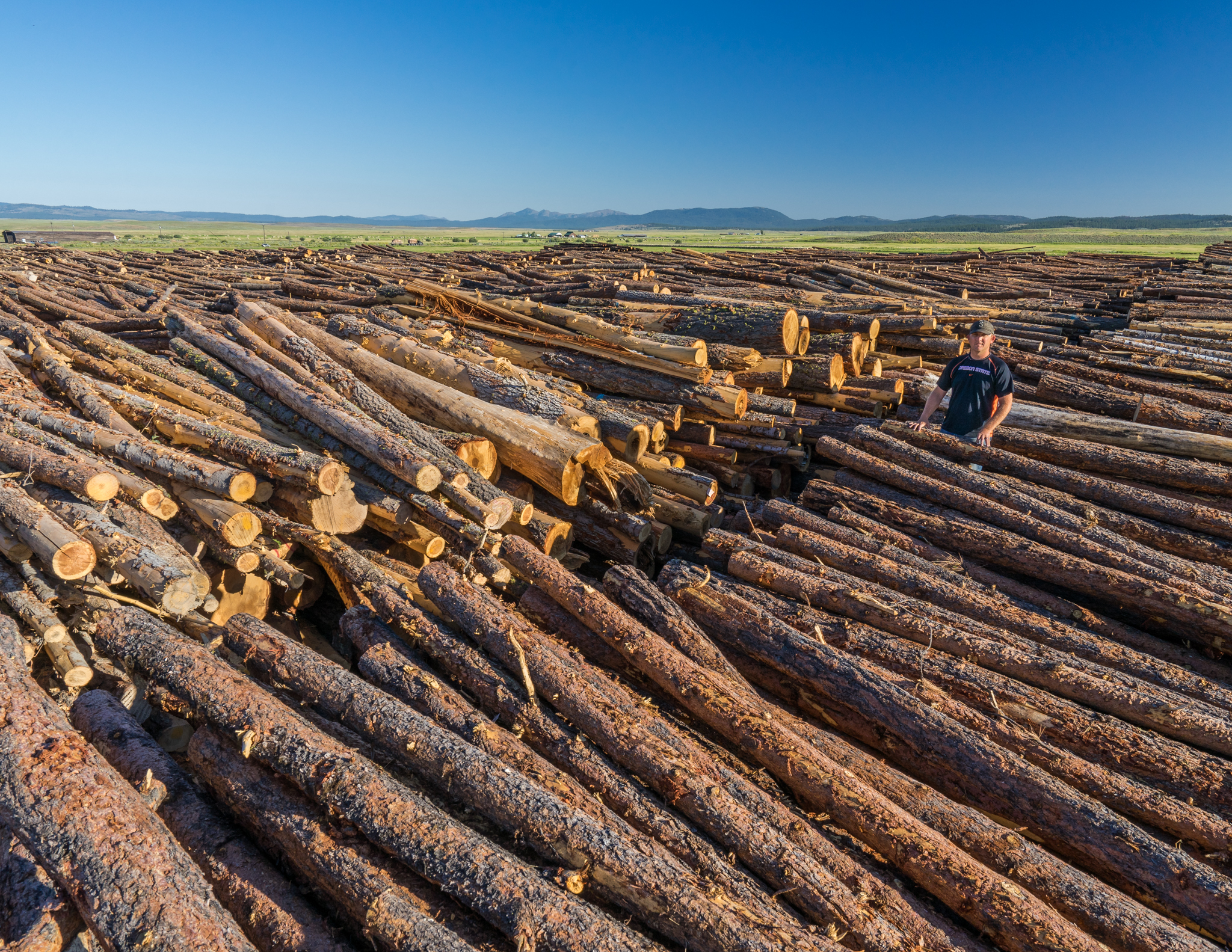 large deck of small logs